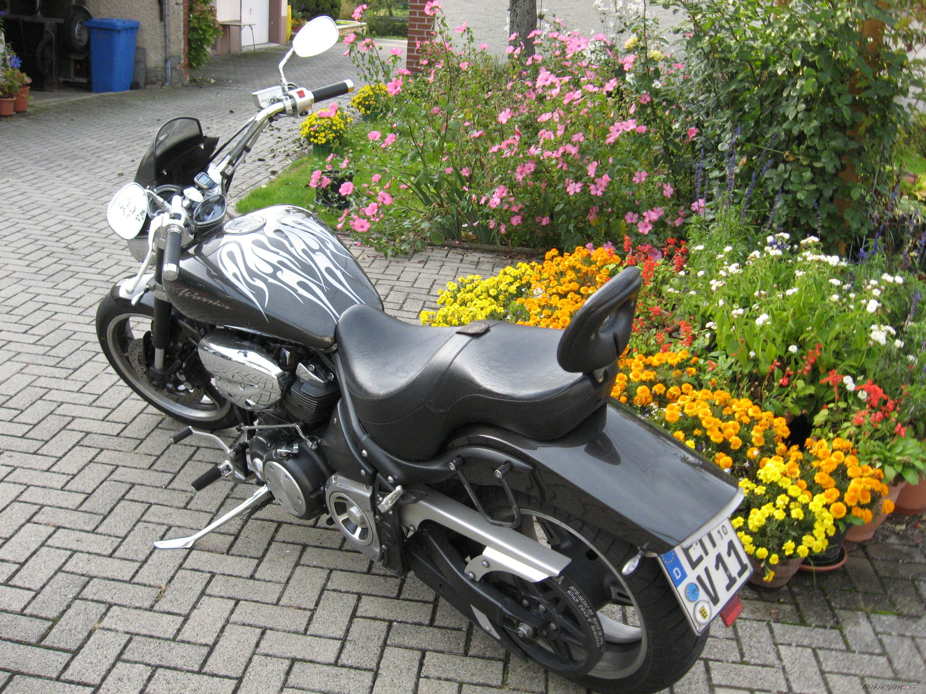 Photo 1085466