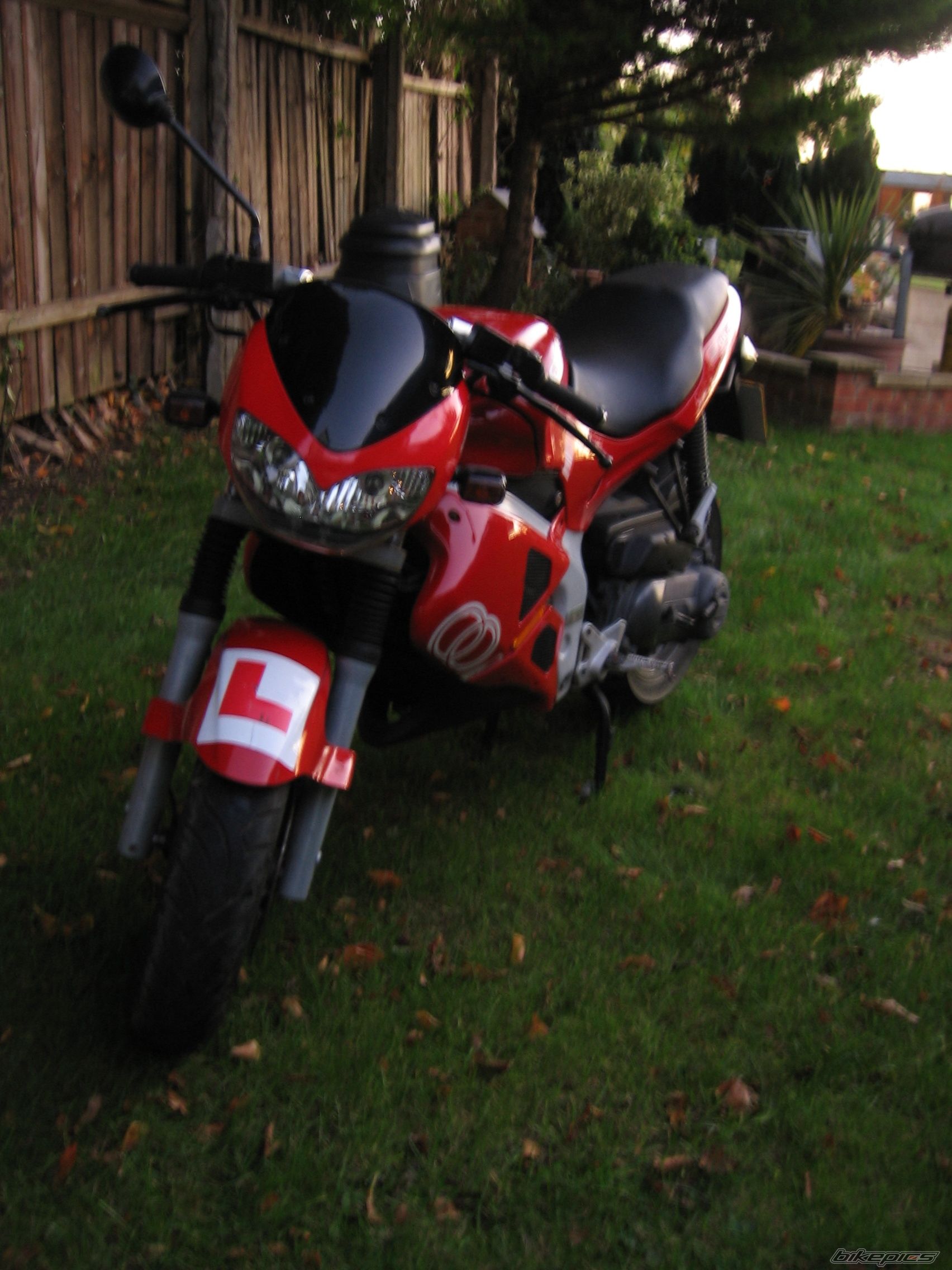 Photo 1085572