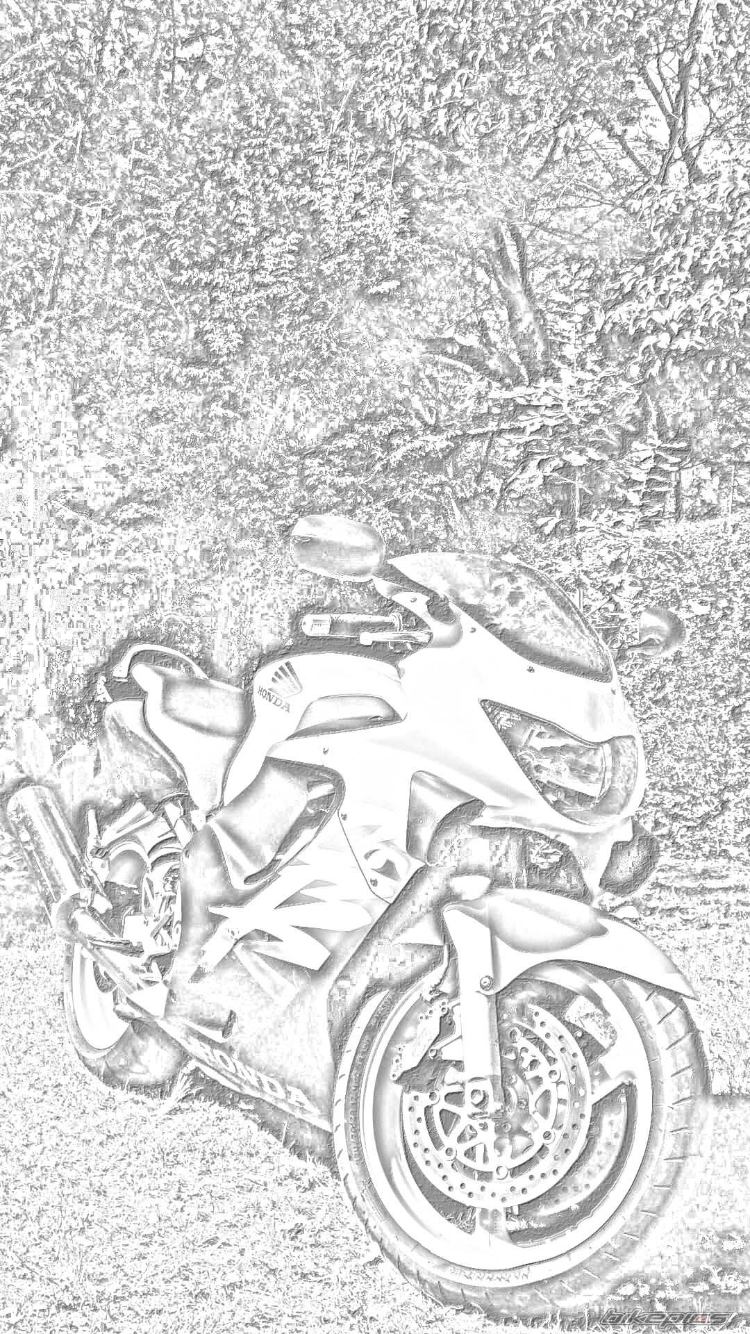 Bike Photo 1085653