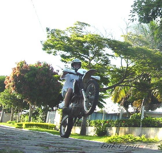 Photo 108602