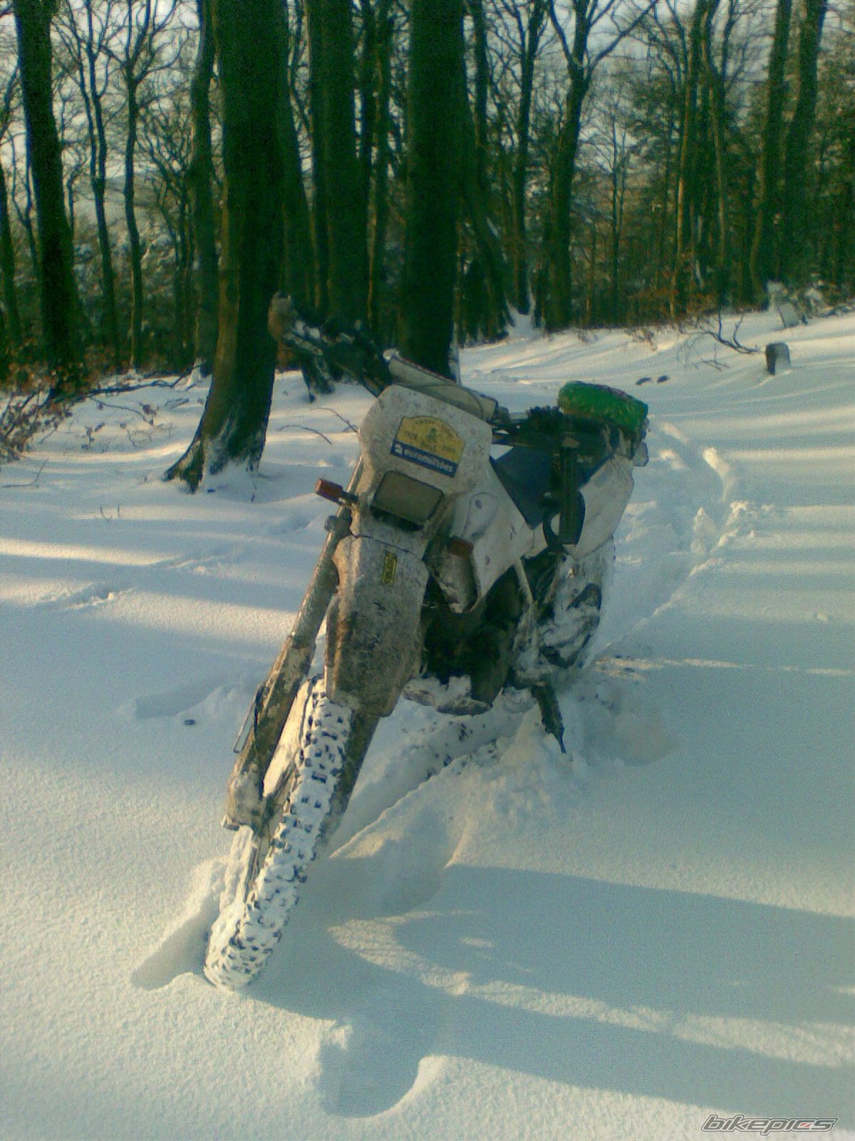 Photo 1086127