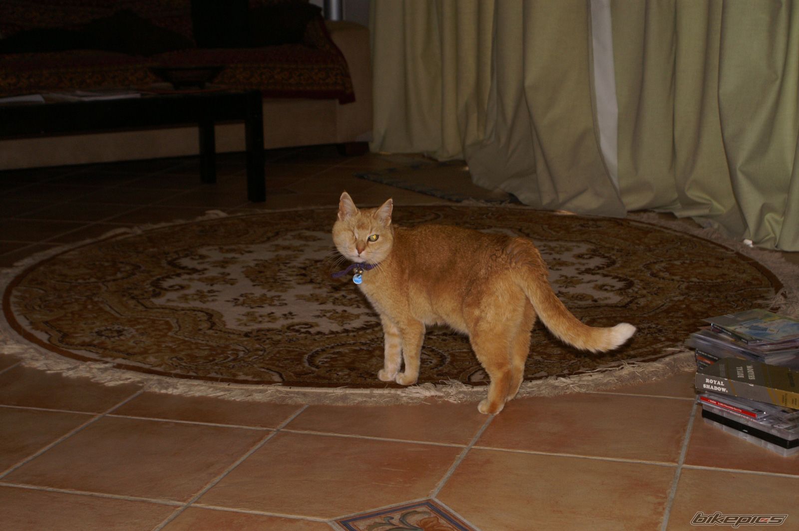 Photo 1086132
