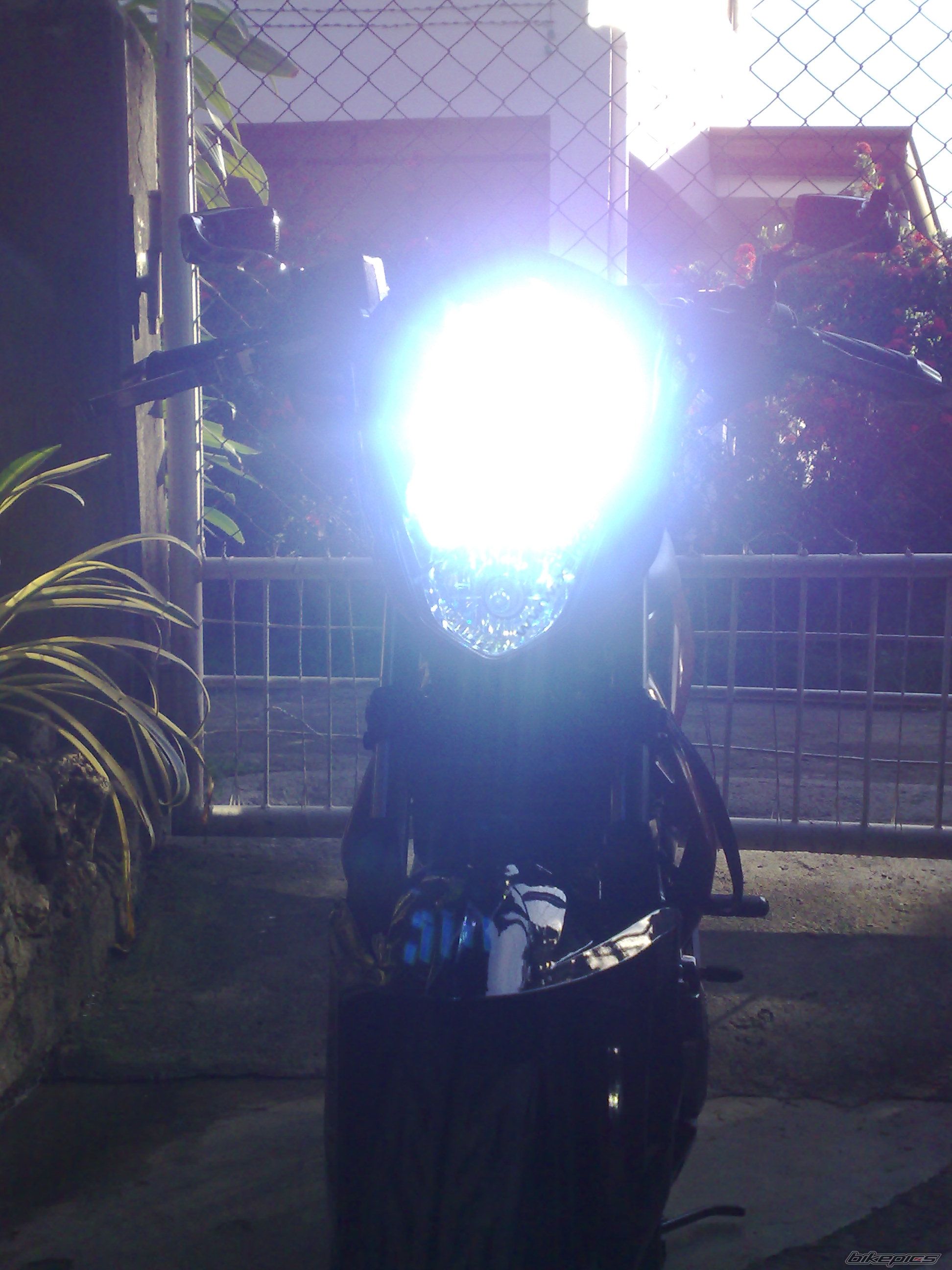 Photo 1086149