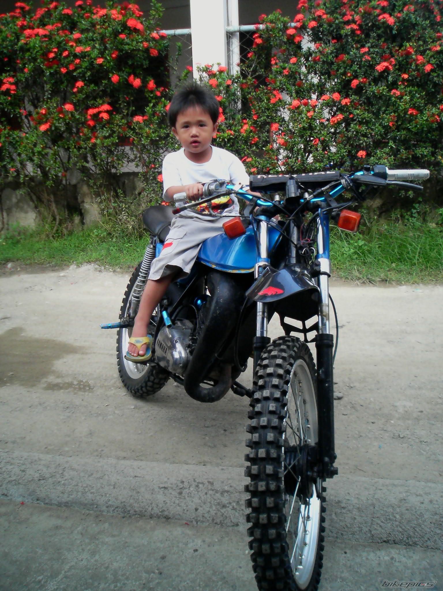 Photo 1086181