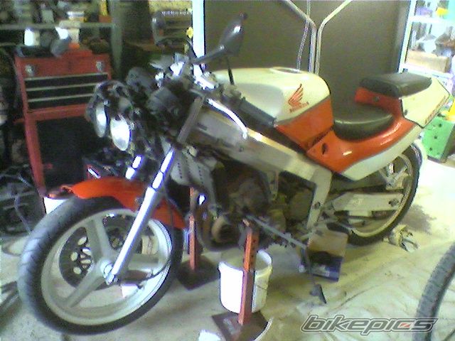 Photo 1086217