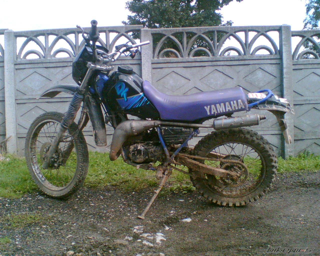Photo 1086353