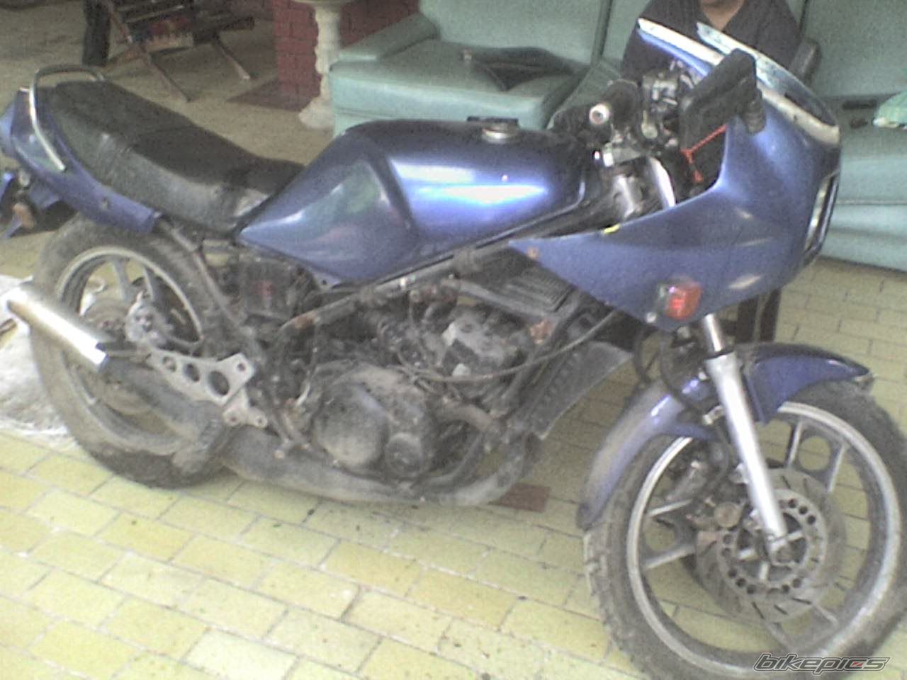 Photo 1086390
