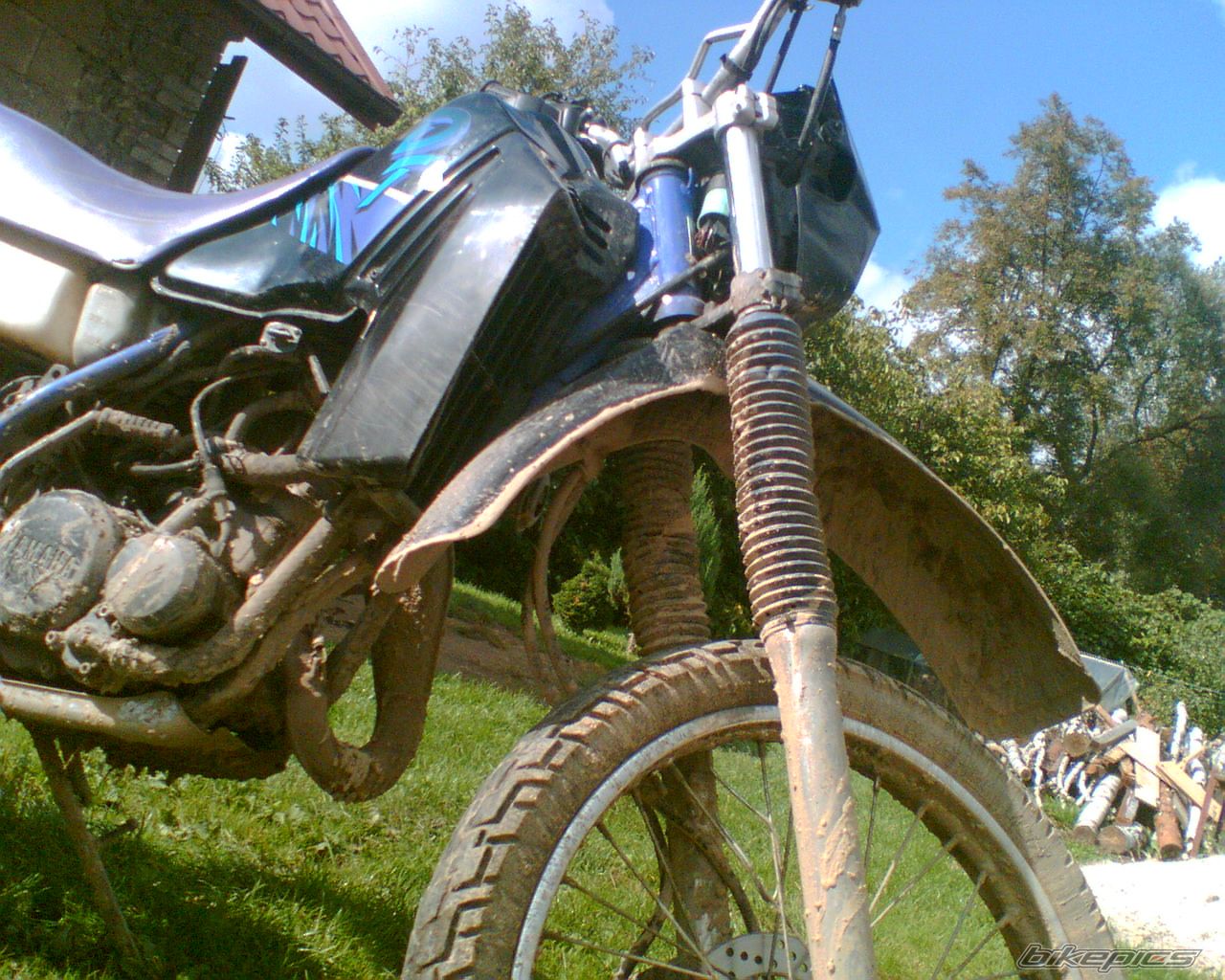 Photo 1086401