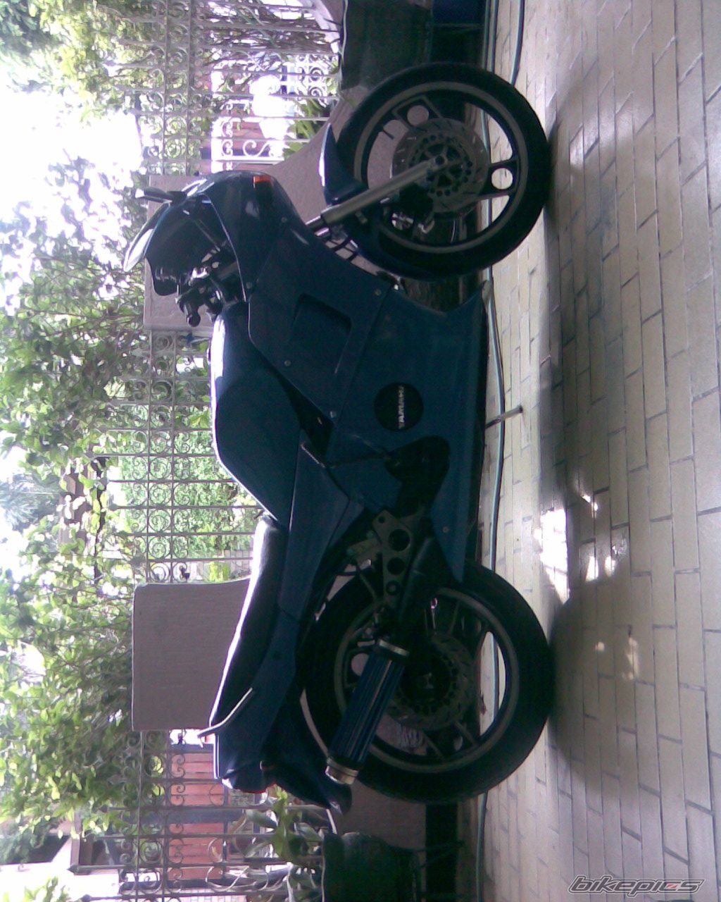 Photo 1086402