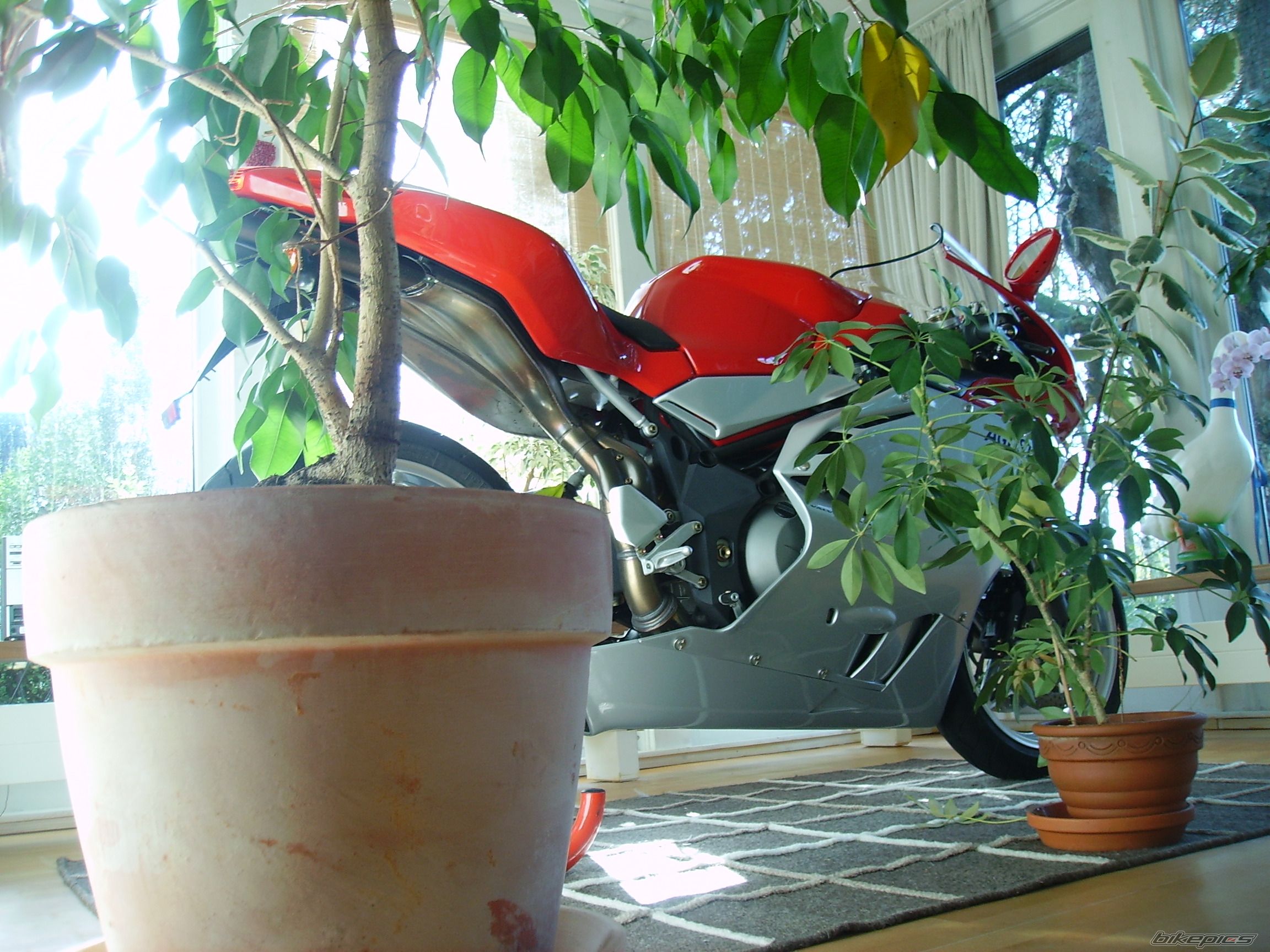 Bike Photo 1086600