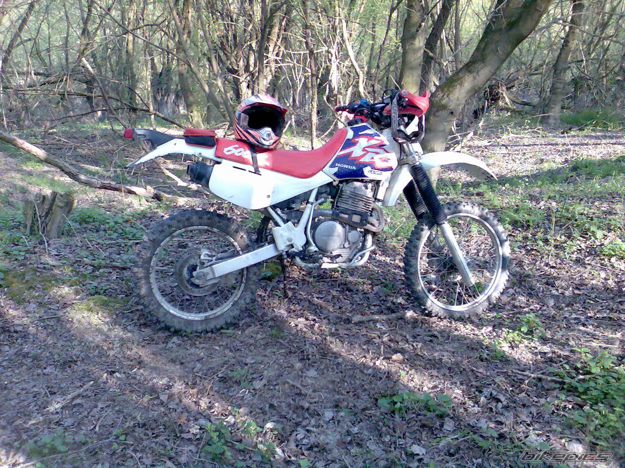 Bike Photo 1086604