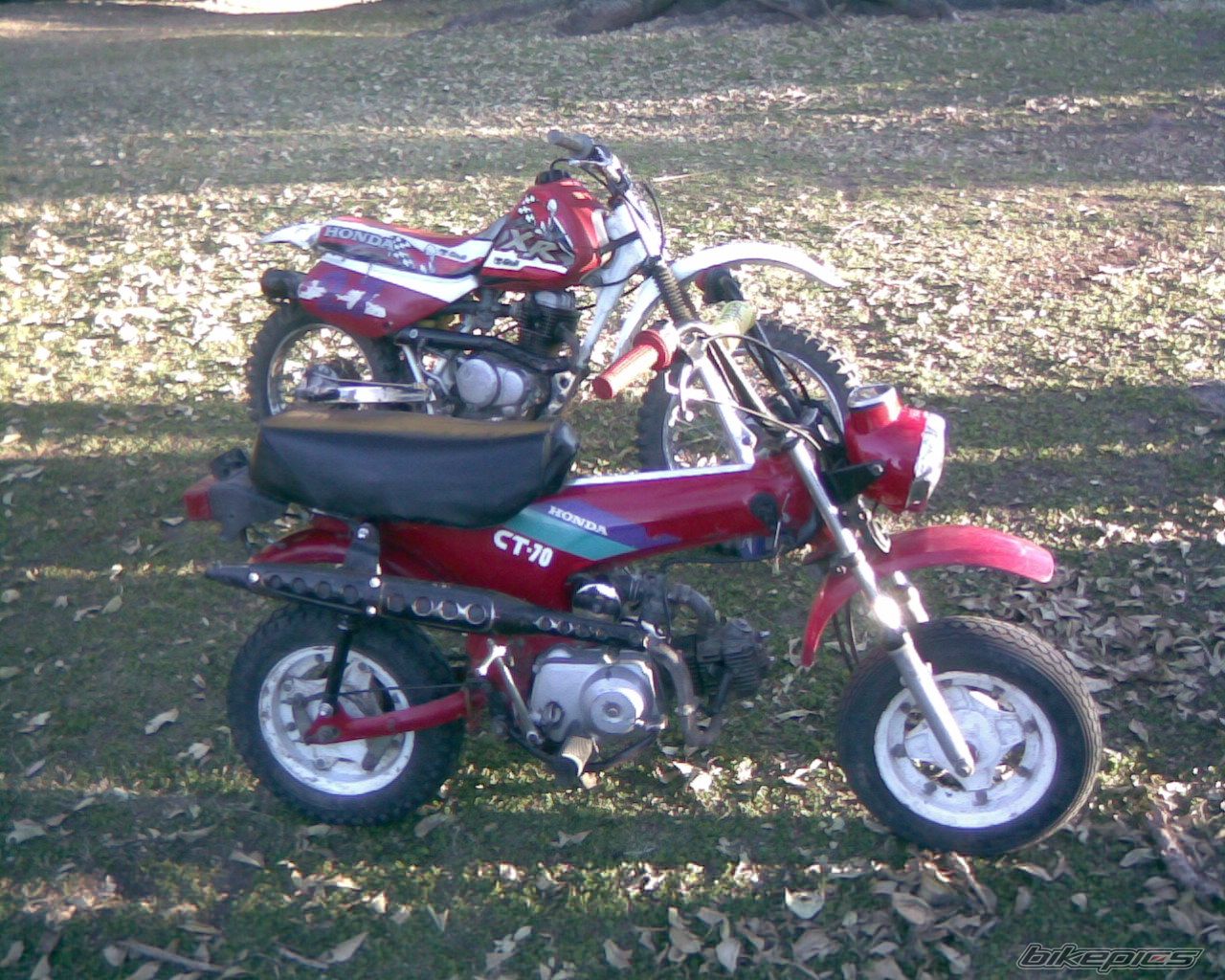 Photo 1086614