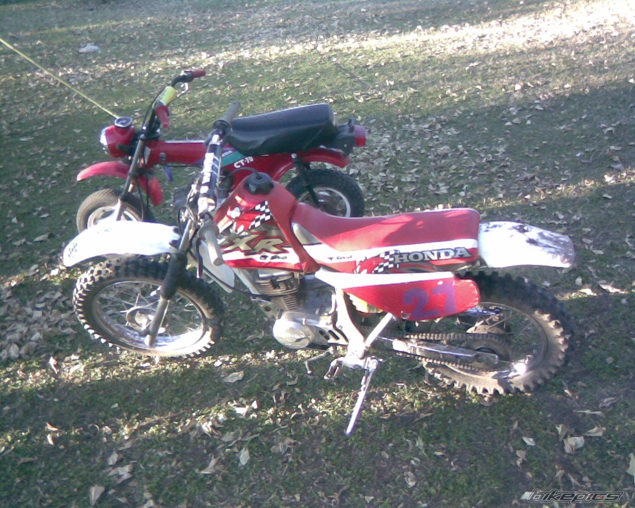 Photo 1086616