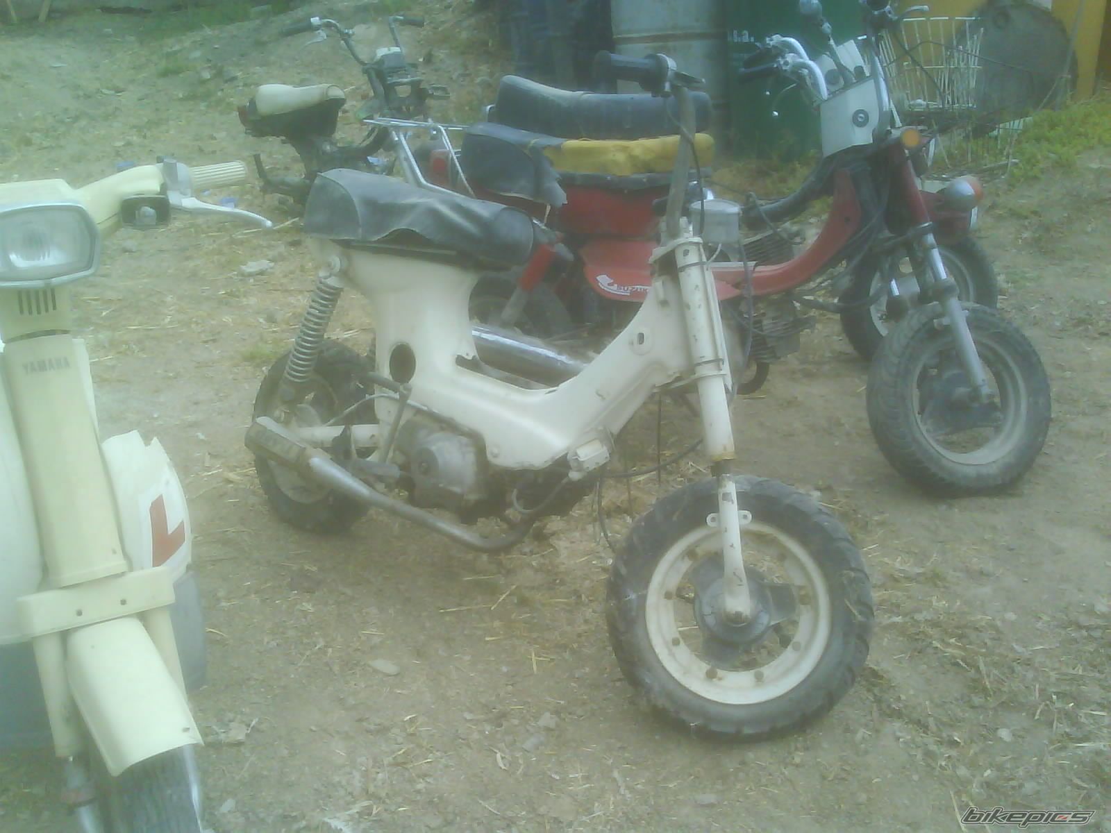 Photo 1086657