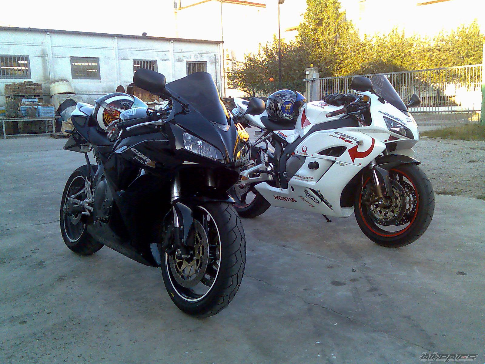 Photo 1086812
