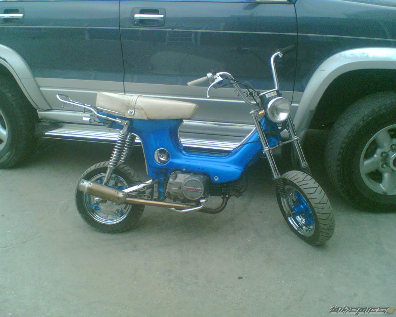 Photo 1087220