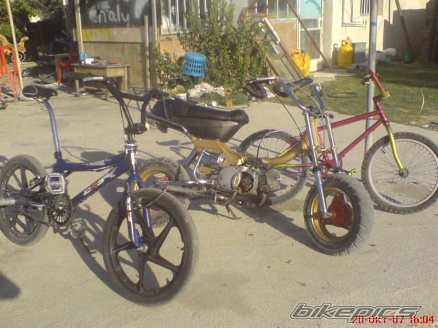 Photo 1087264