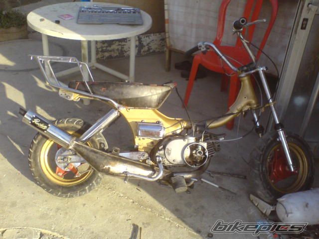Photo 1087266