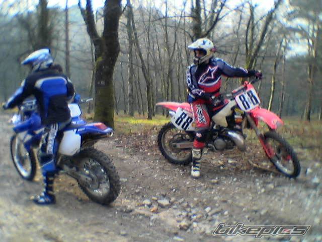 Photo 108730