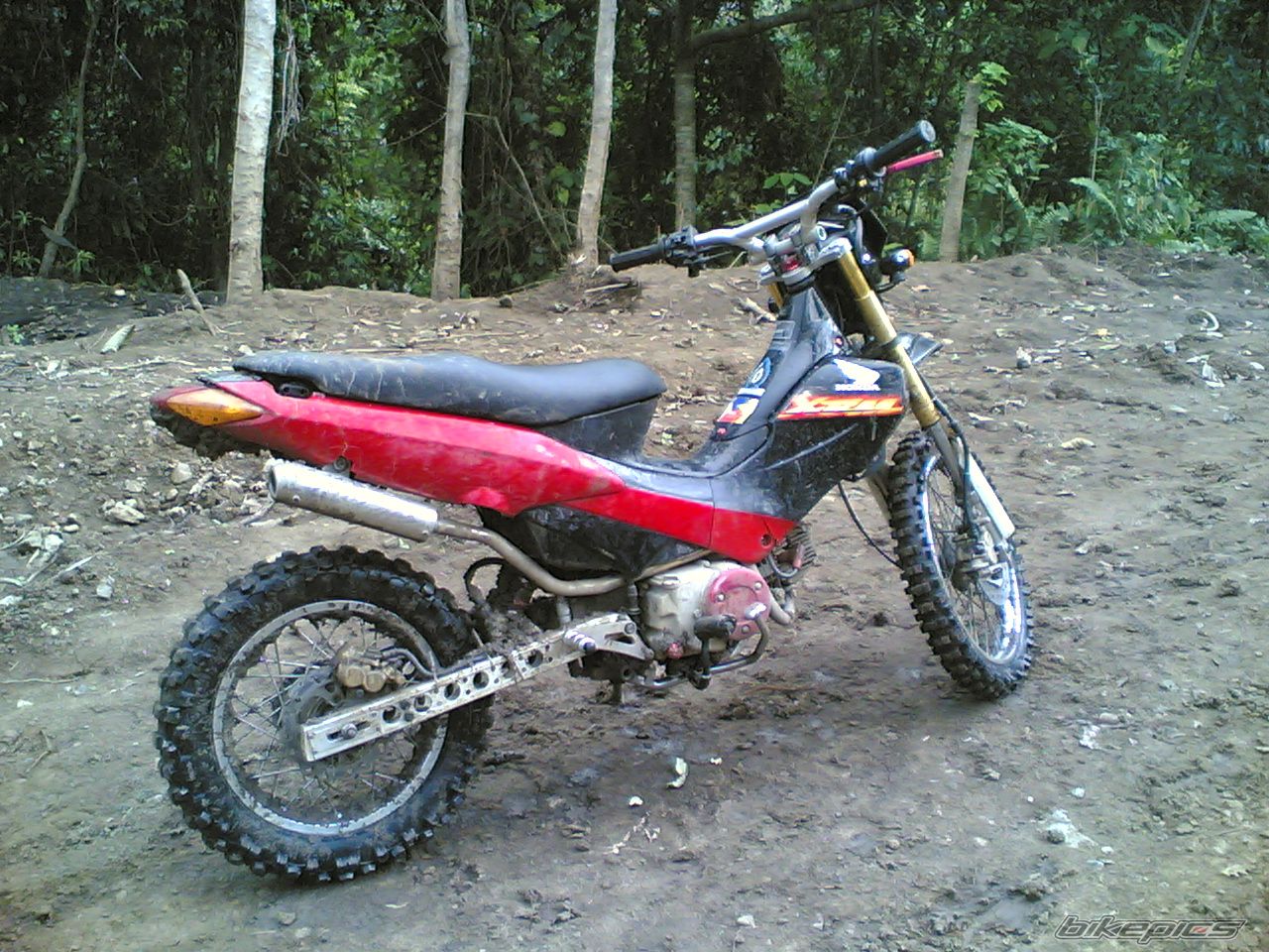Photo 1087324
