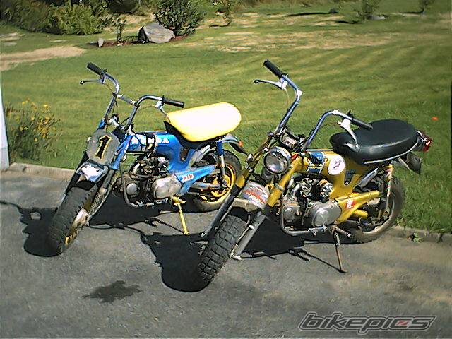 Photo 108737
