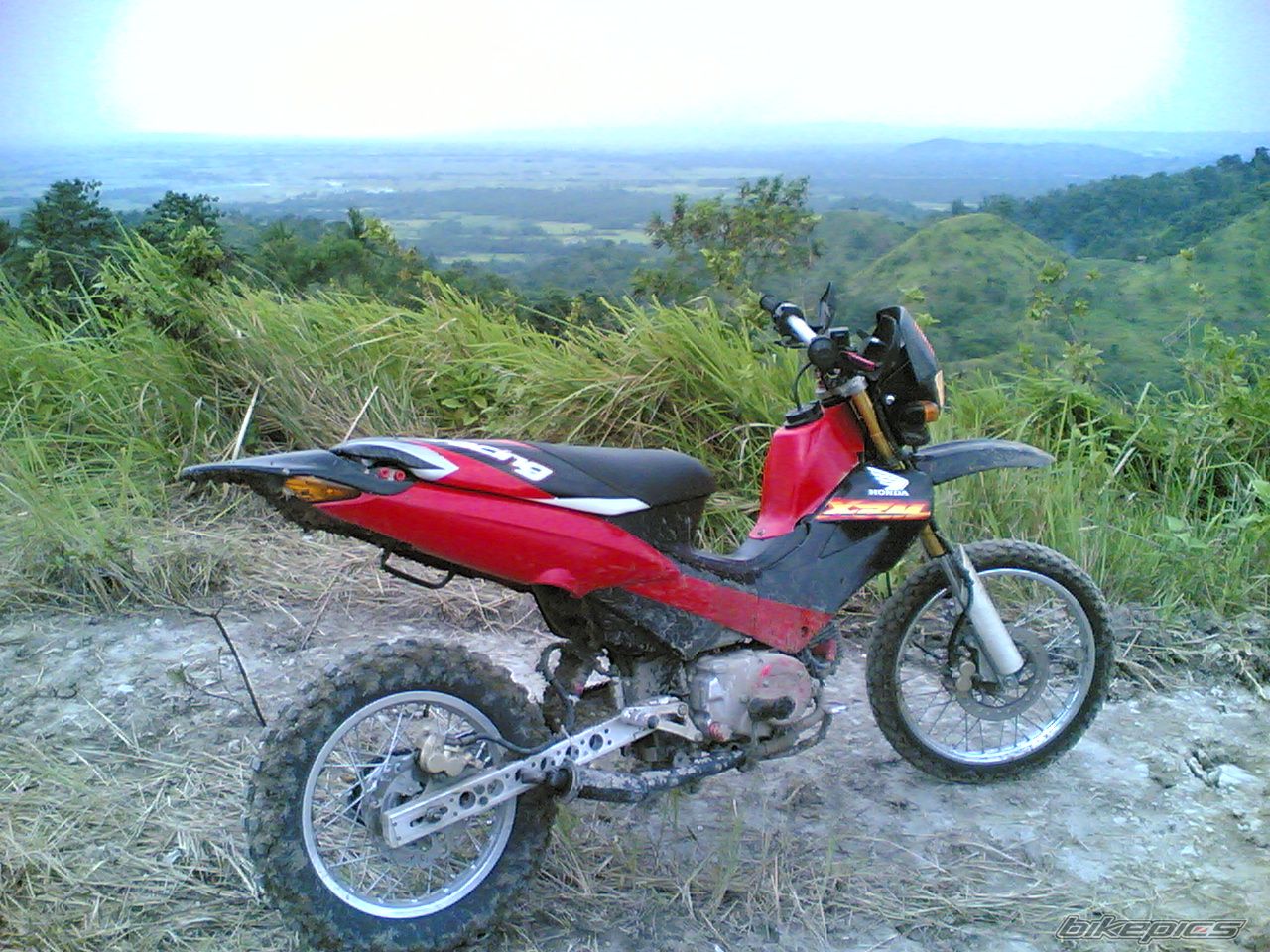 Photo 1087375