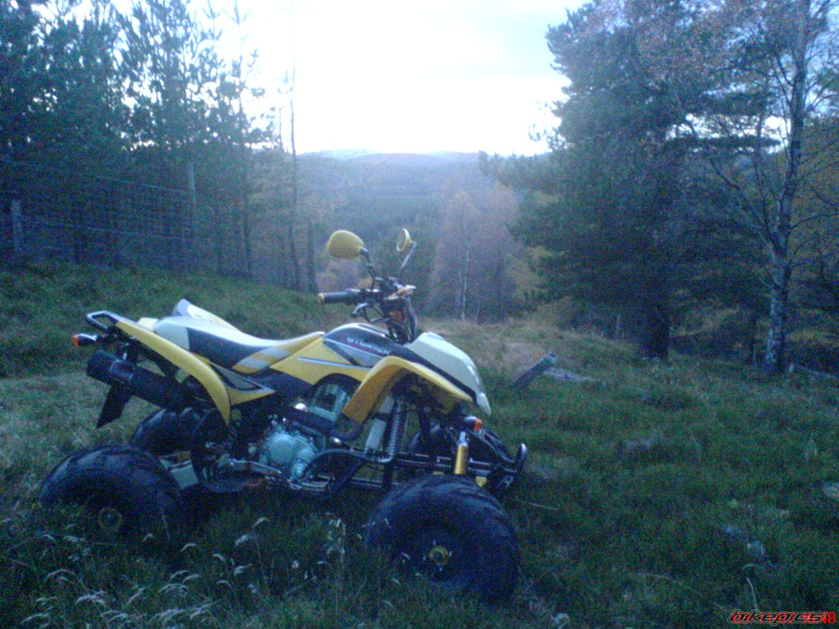 Photo 1087530
