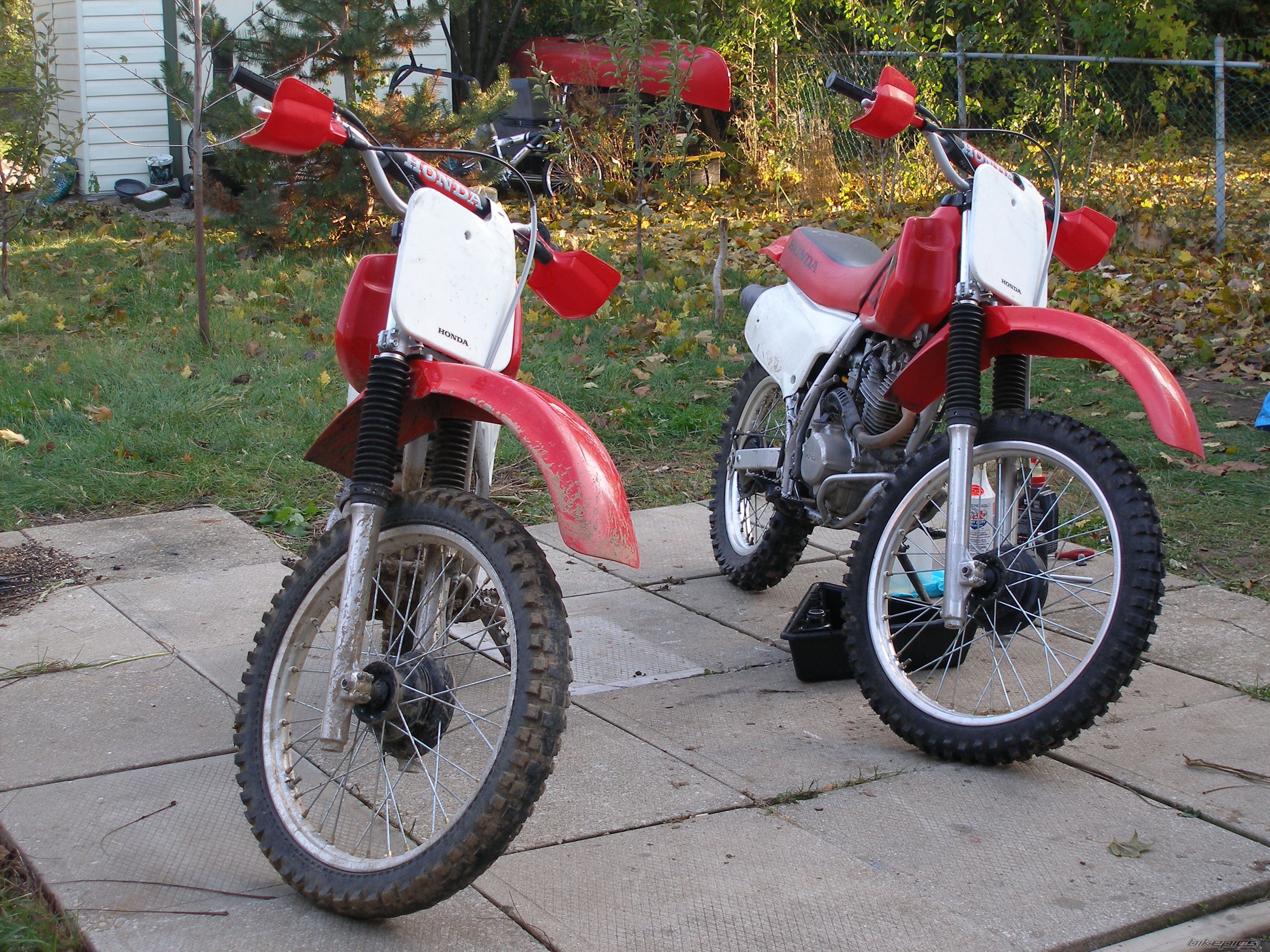 Photo 1087569