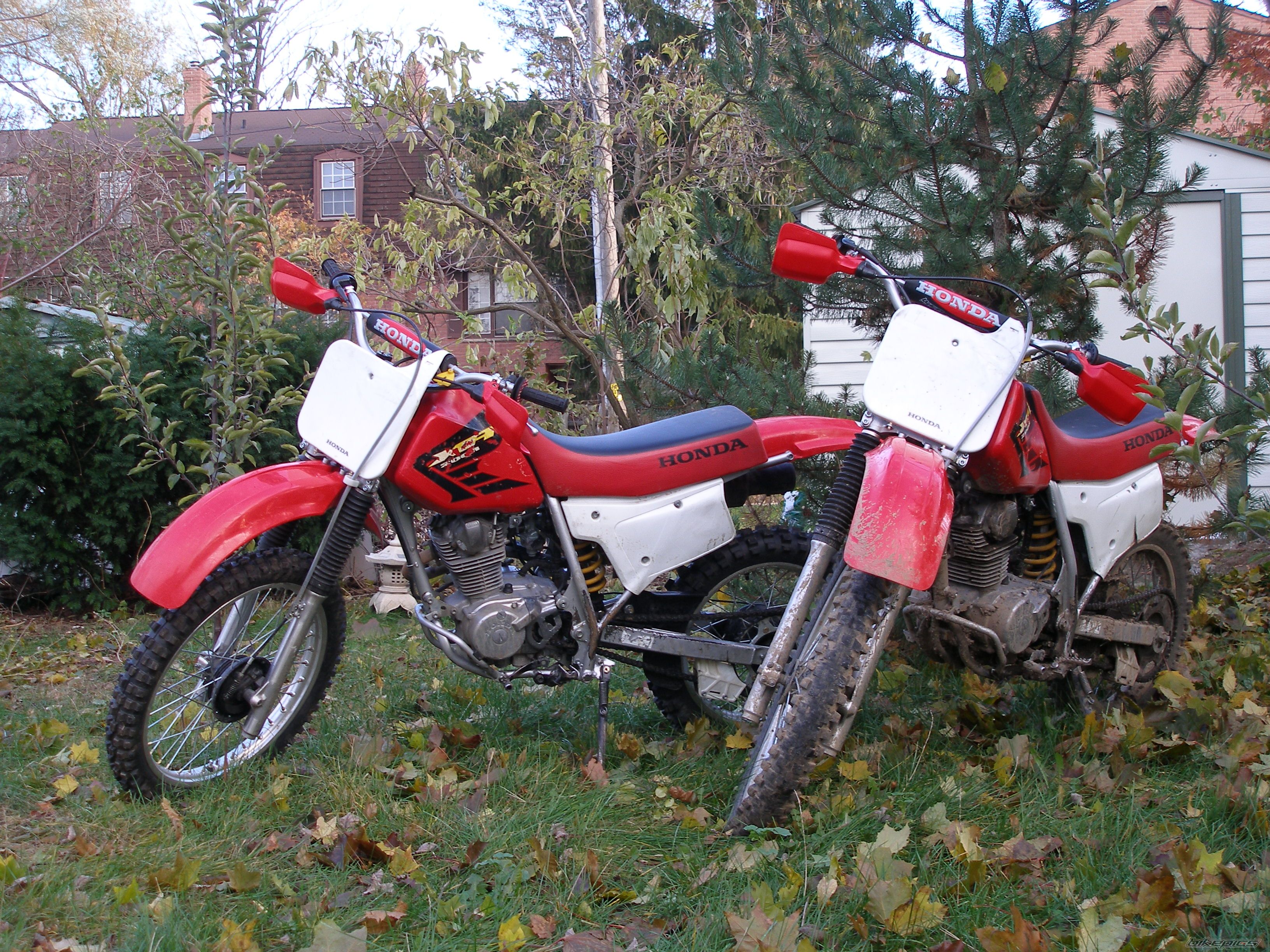 Photo 1087571