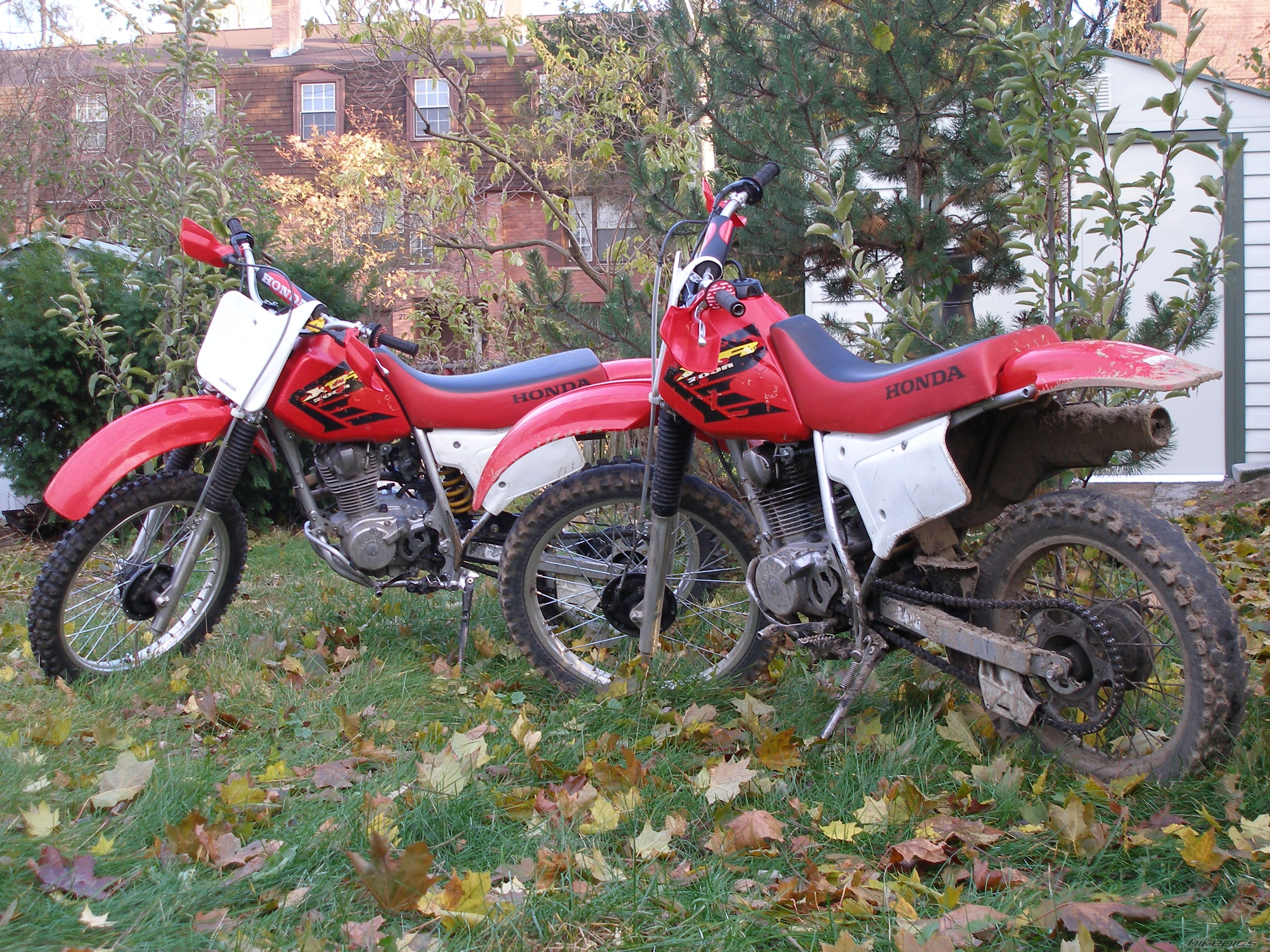 Photo 1087572