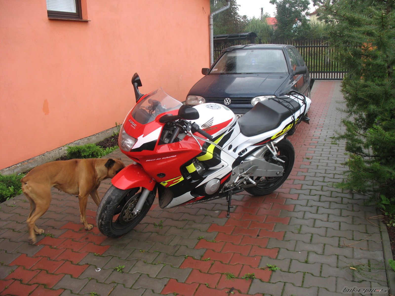 Bike Photo 1087665
