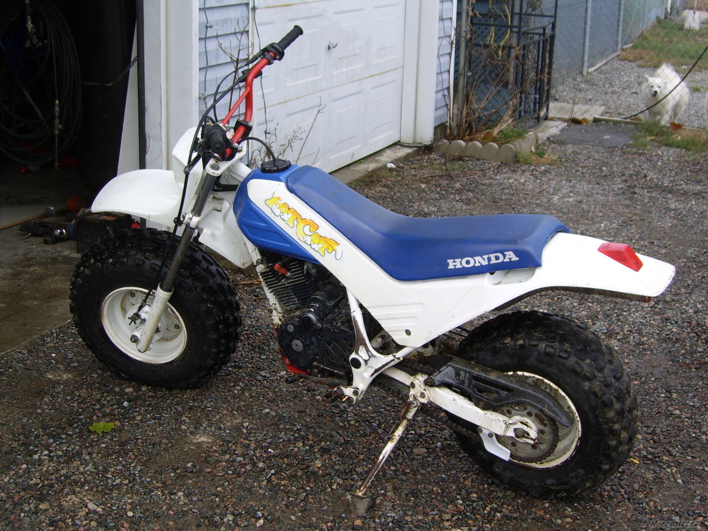 Photo 1087764