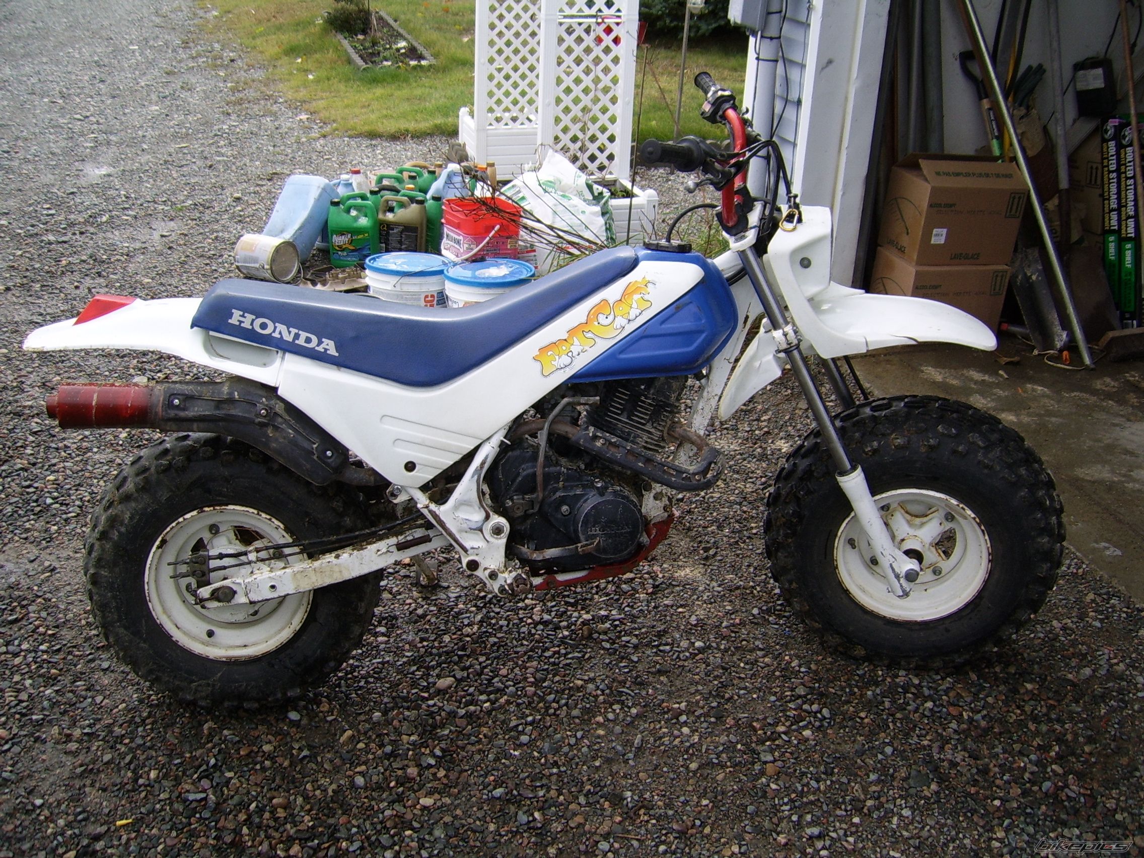 Photo 1087767