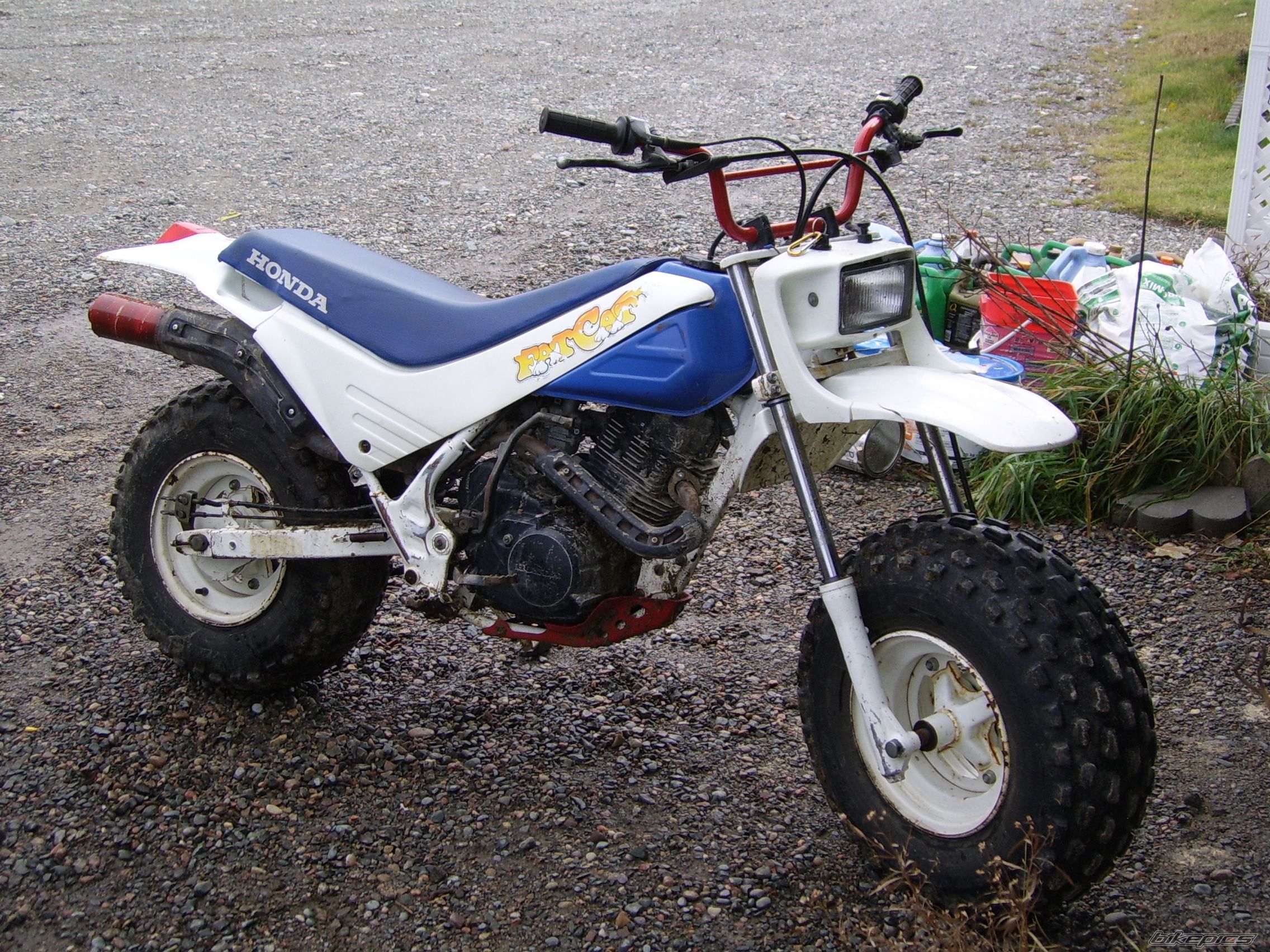 Photo 1087769
