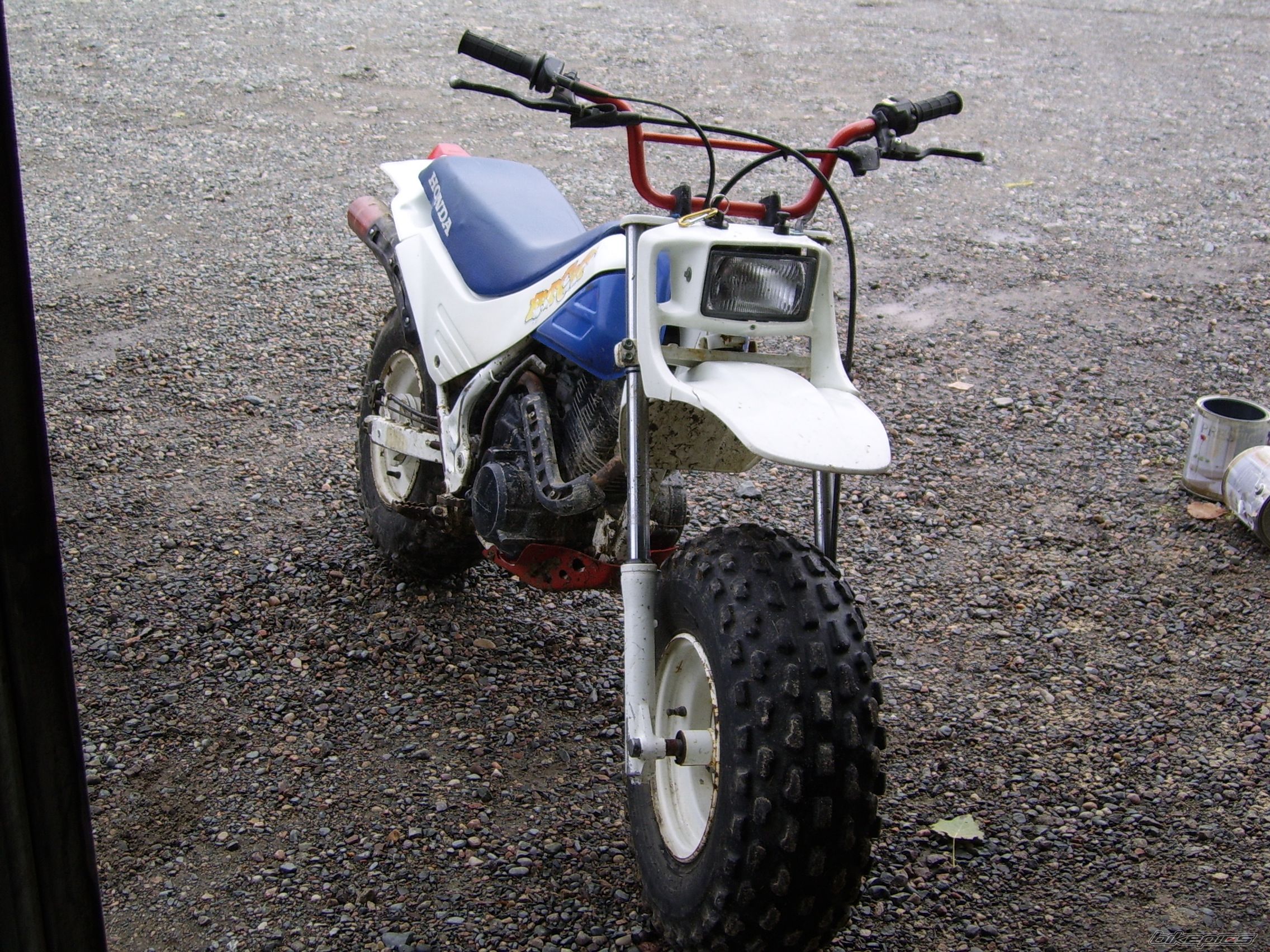 Photo 1087770