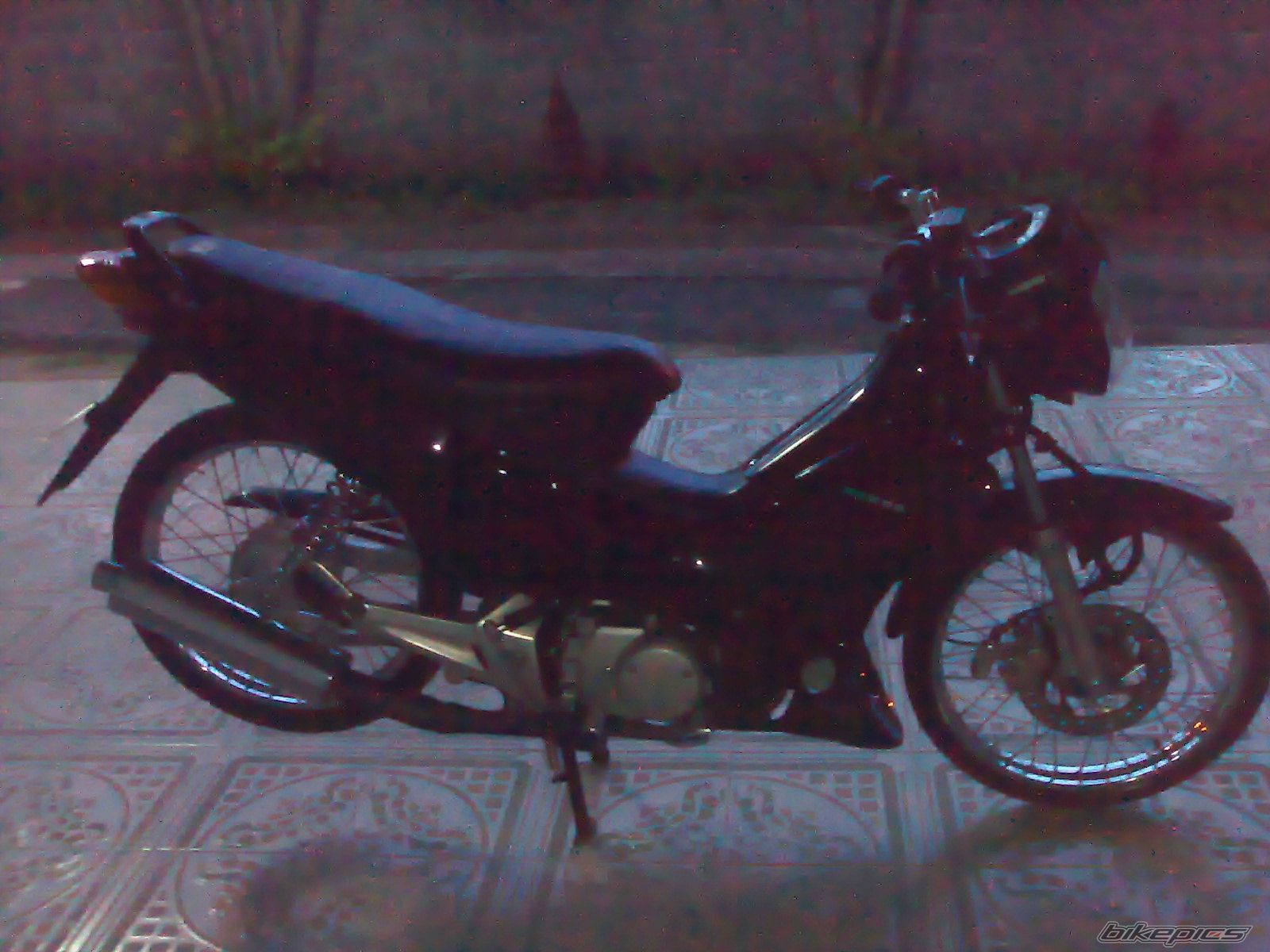 Photo 1087873