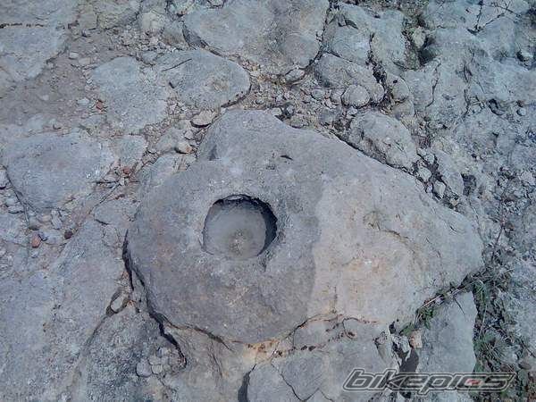 Photo 1088049