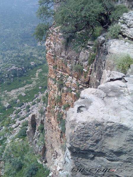 Photo 1088060
