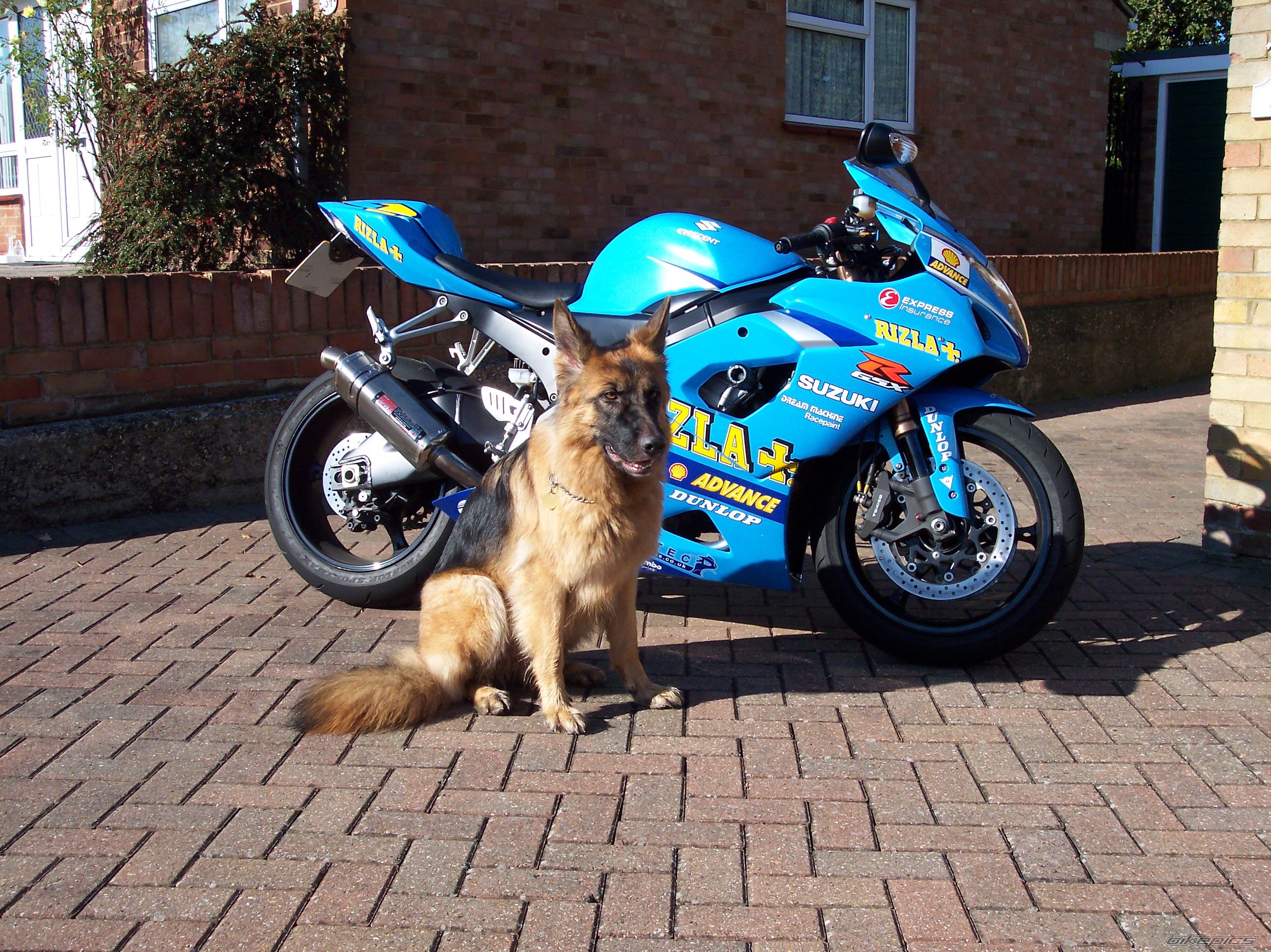 Bike Photo 1088253