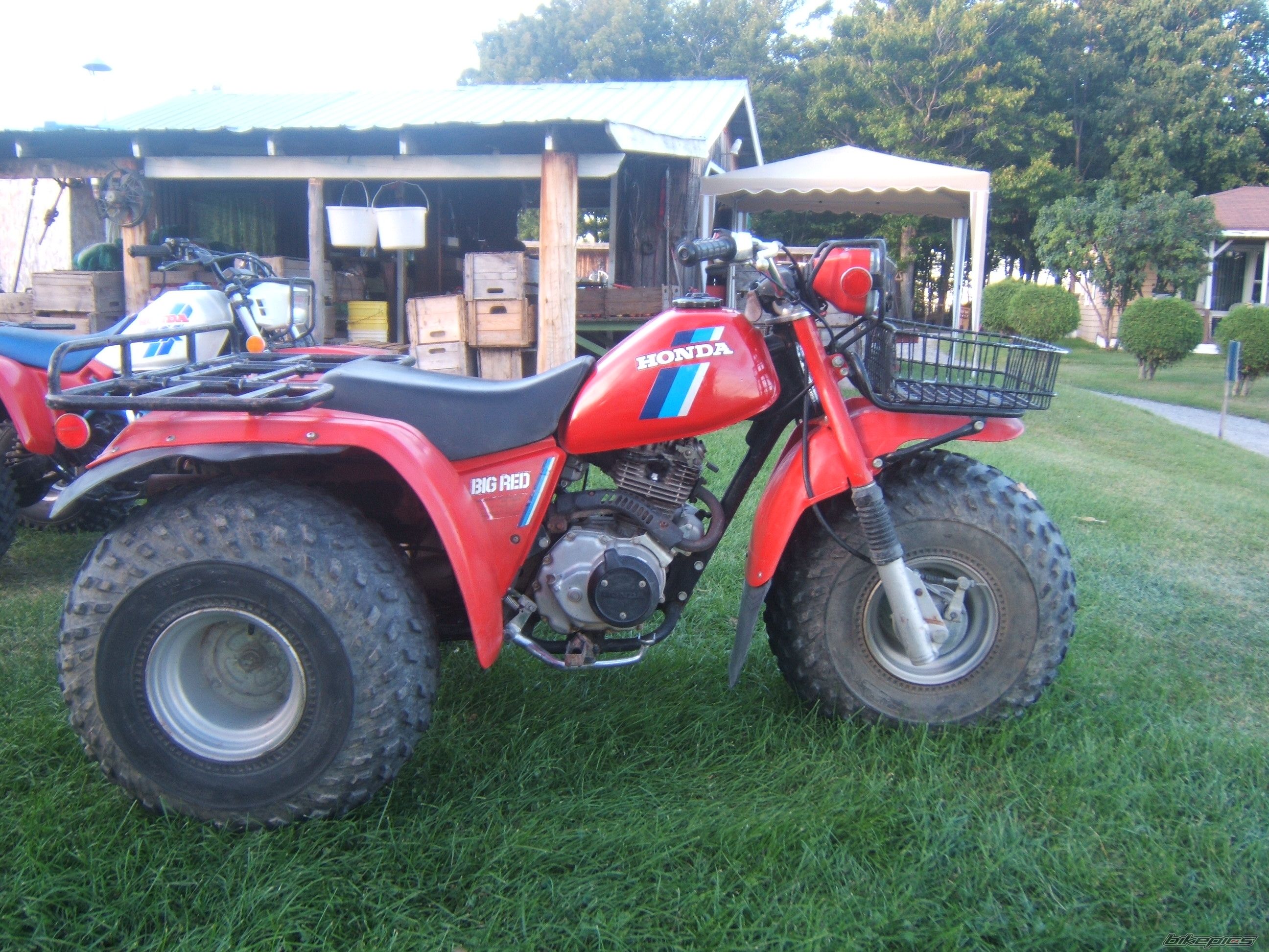 Photo 1088444