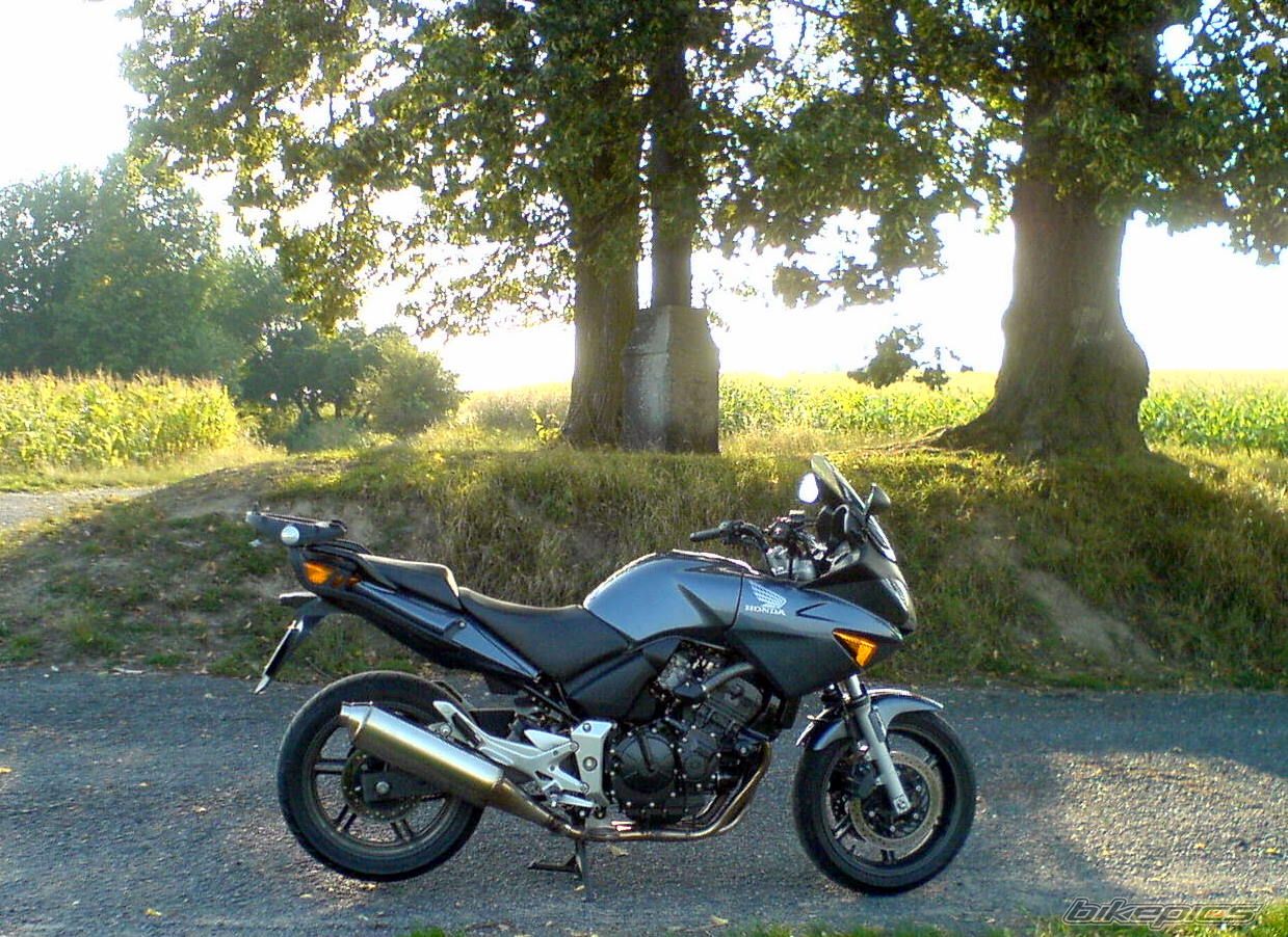 Photo 1088453