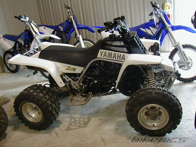 Photo 1089158