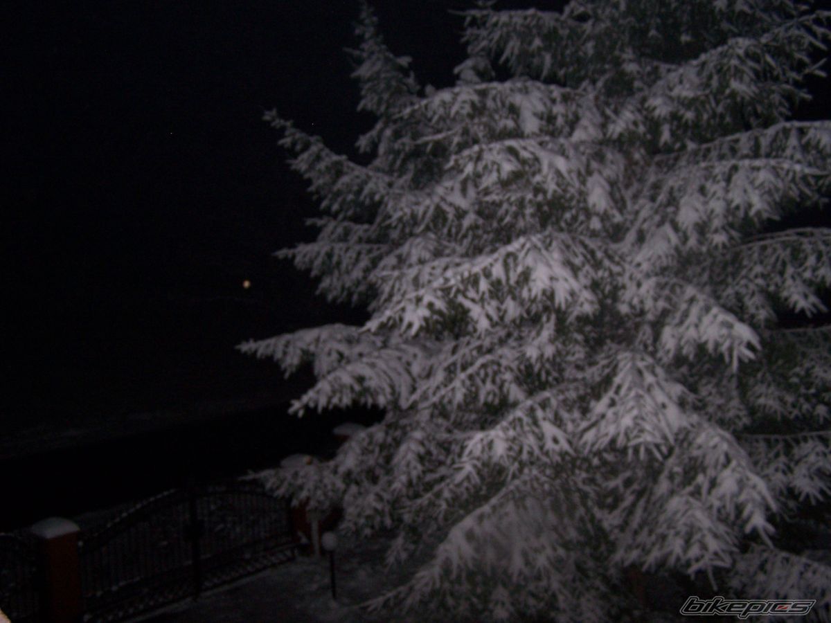 Photo 1089201