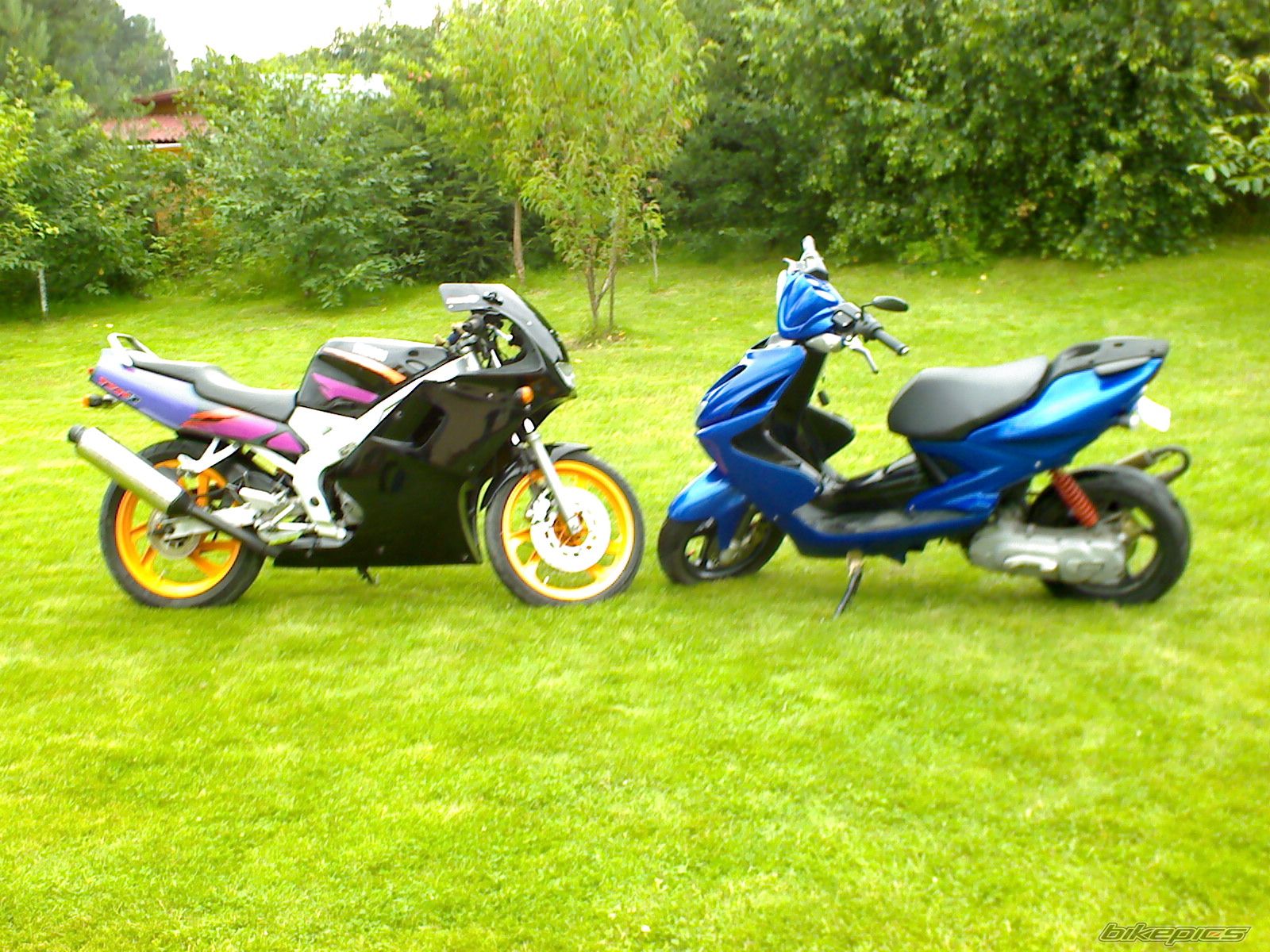 Photo 1089683