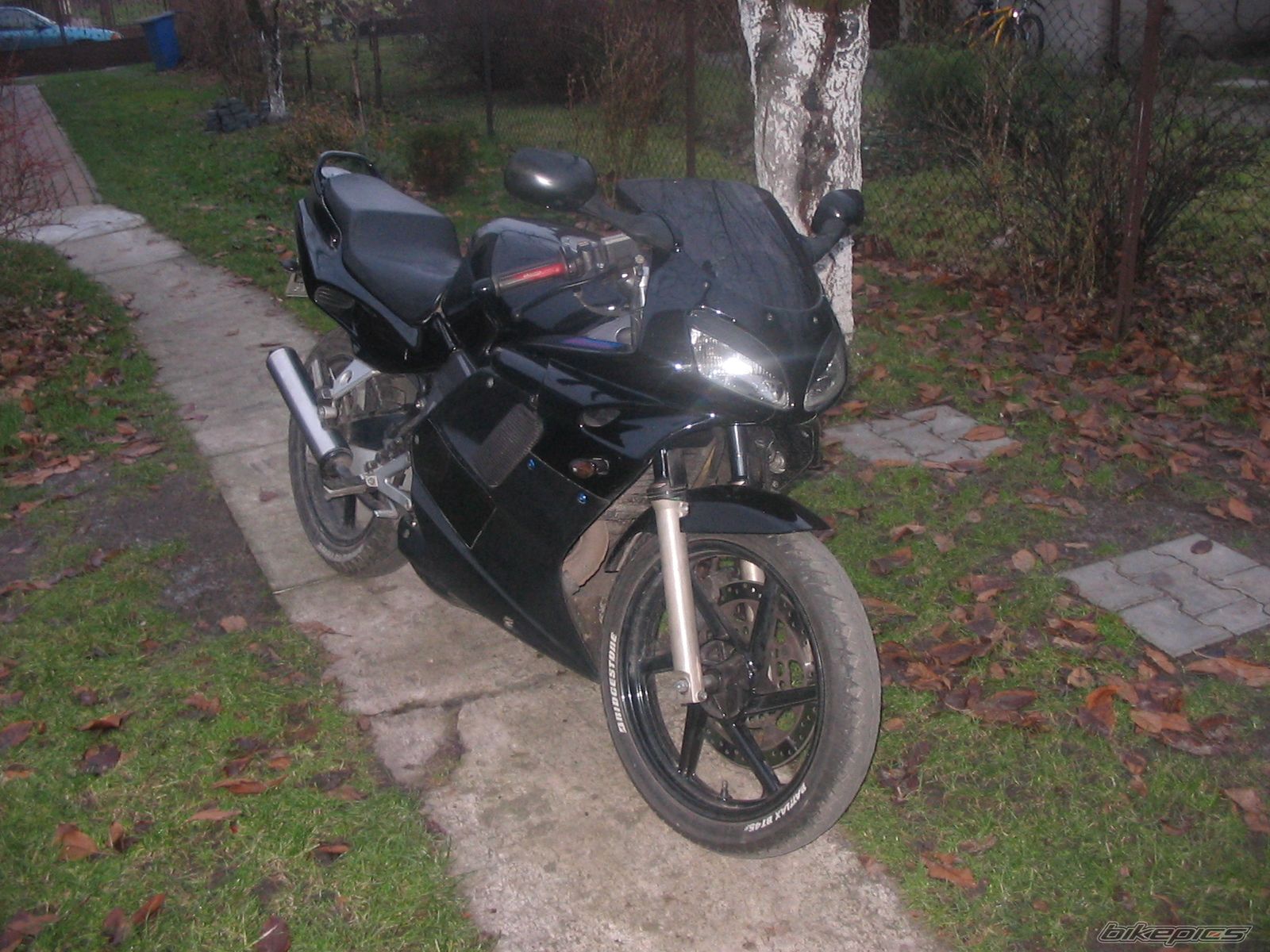 Photo 1089720