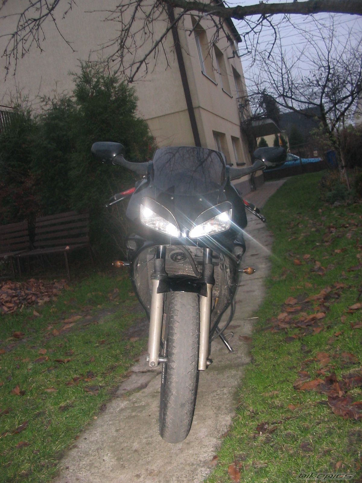 Photo 1089723