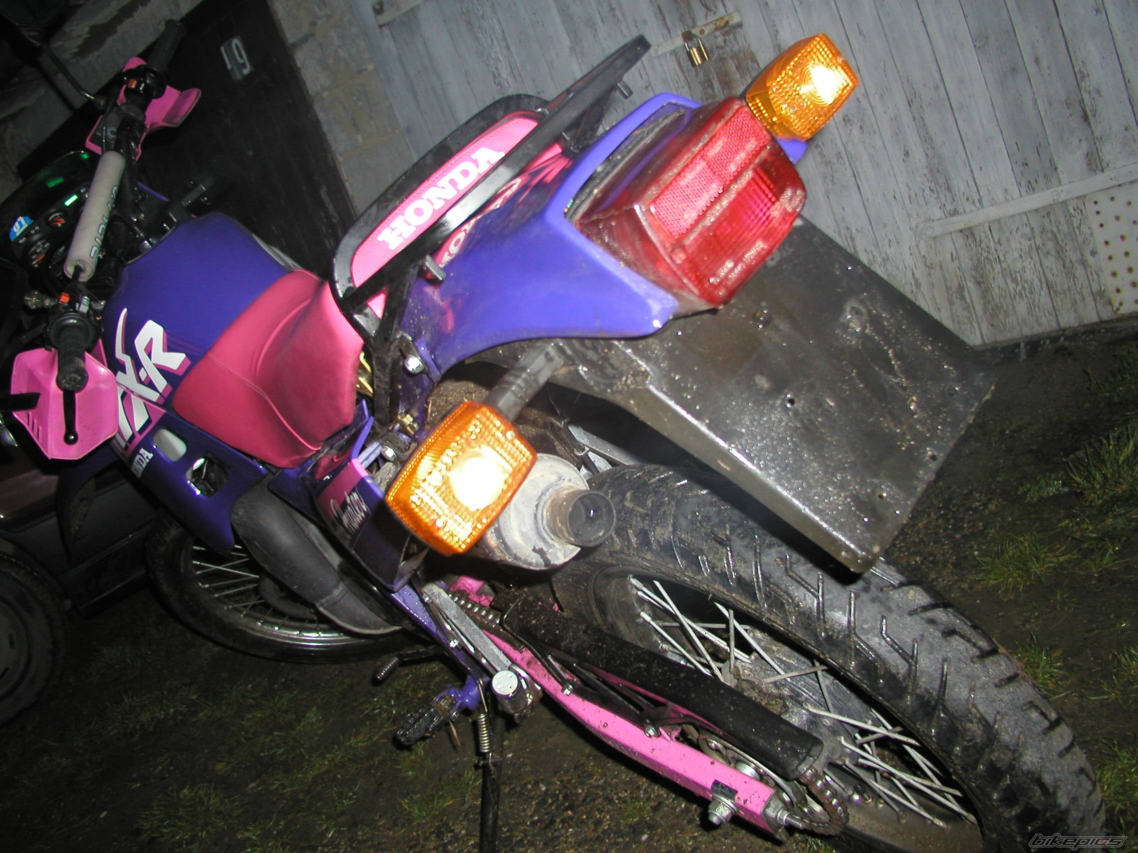 Photo 108982