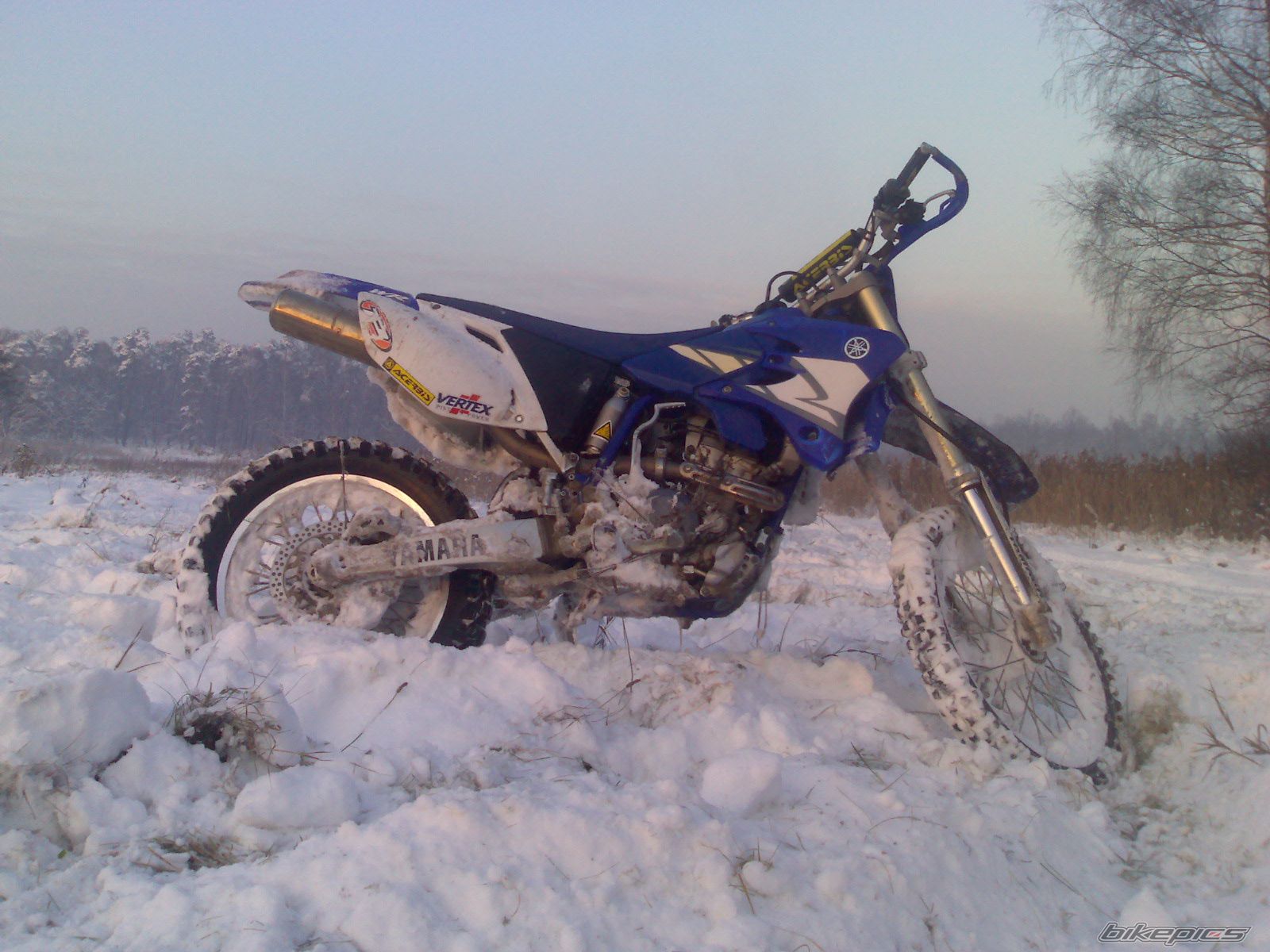Photo 1090049