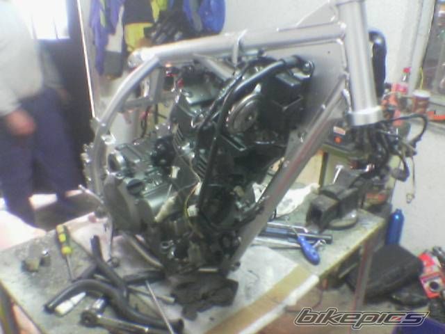 Photo 1090694