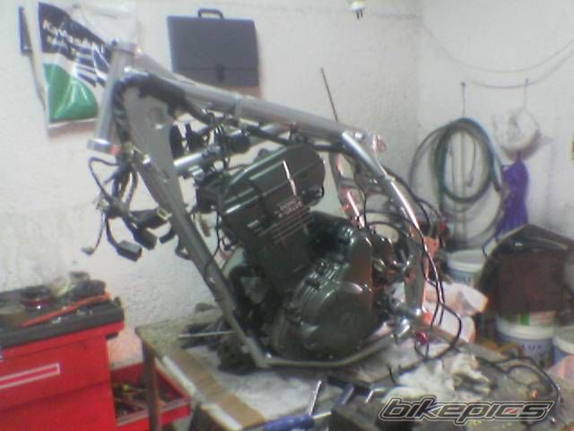 Photo 1090695